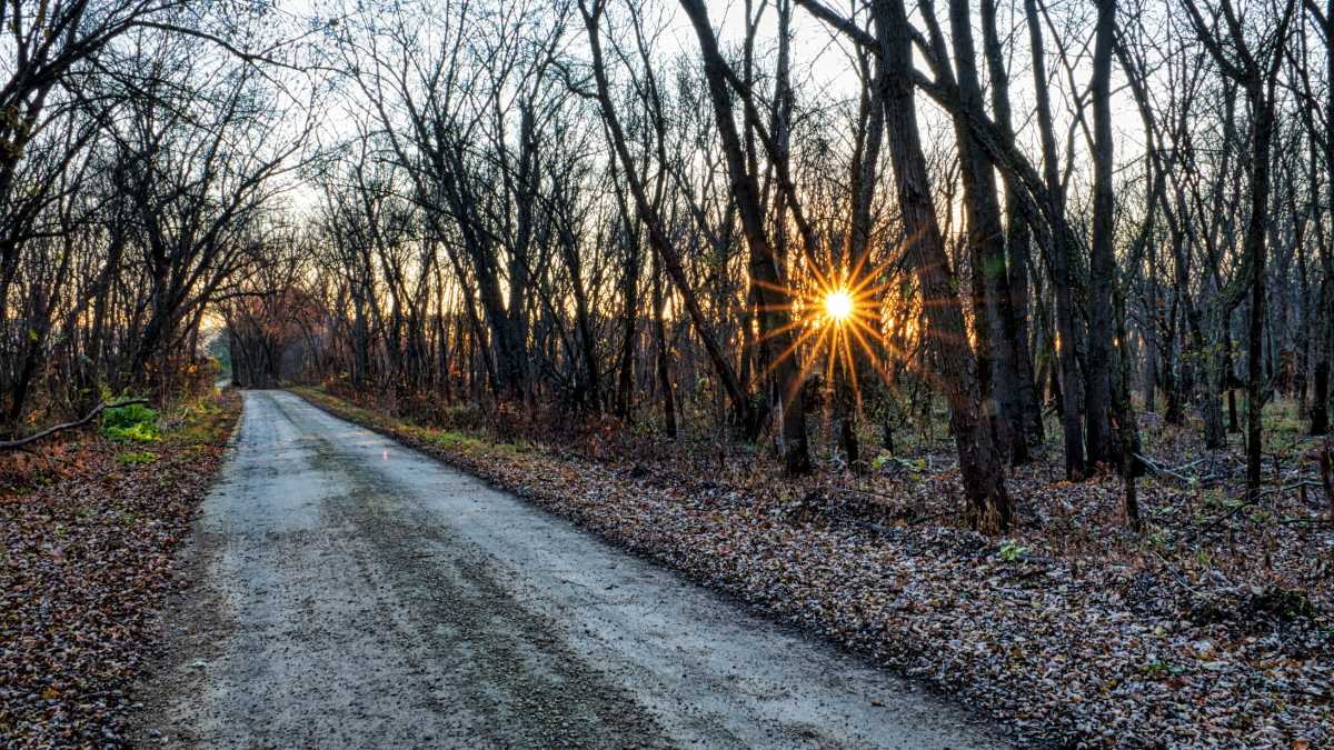 How to prepare a vineyard for winter – winter vineyard landscape in Sonoma