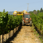 Modern vineyard tractor operating in Sonoma County vineyard for efficient vineyard operations