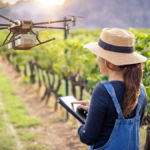 Precision viticulture tools including soil sensors and drone technology used in a vineyard