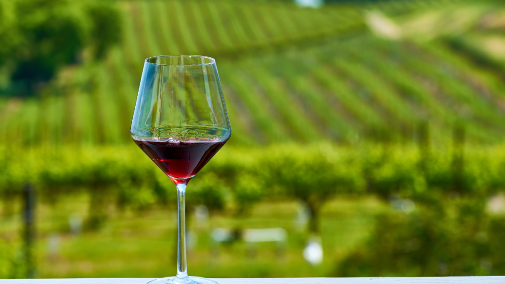 Small vineyards successfully implementing vineyard revenue diversification