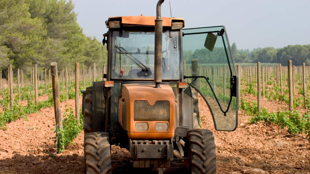 Vineyard Mechanization ROI: When to Invest in Vineyard Equipment vs. Outsourcing