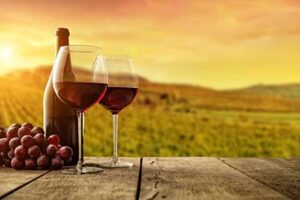 Wine Industry Trends