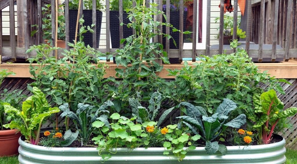Edible Garden Maintenance Plan