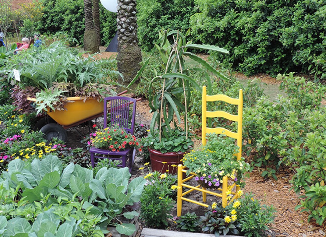 Edible Garden Maintenance service