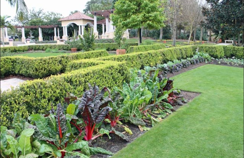 Edible Garden Maintenance support