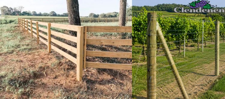 Agricultural Fencing for Vineyards