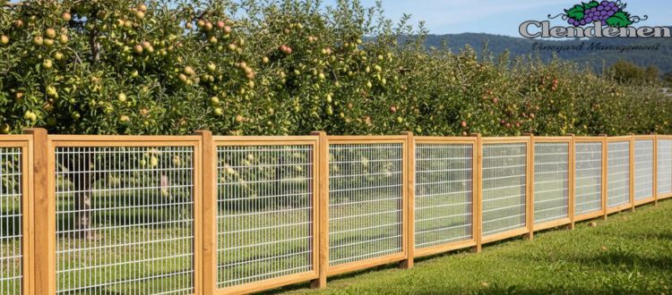 Vineyard Fence Installation